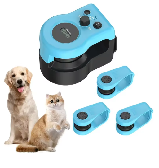 Revolutionize Your Cat's Playtime with the Adjustable Speed Cat Wheel Exerciser - Interactive Indoor Treadmill for Endless Fun!