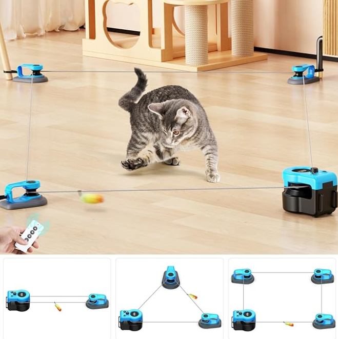 Revolutionize Your Cat's Playtime with the Adjustable Speed Cat Wheel Exerciser - Interactive Indoor Treadmill for Endless Fun!