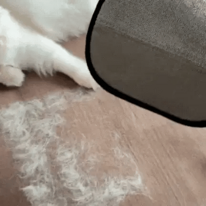 Petzro™ Anti-Slip Pet Hair Removal Glove